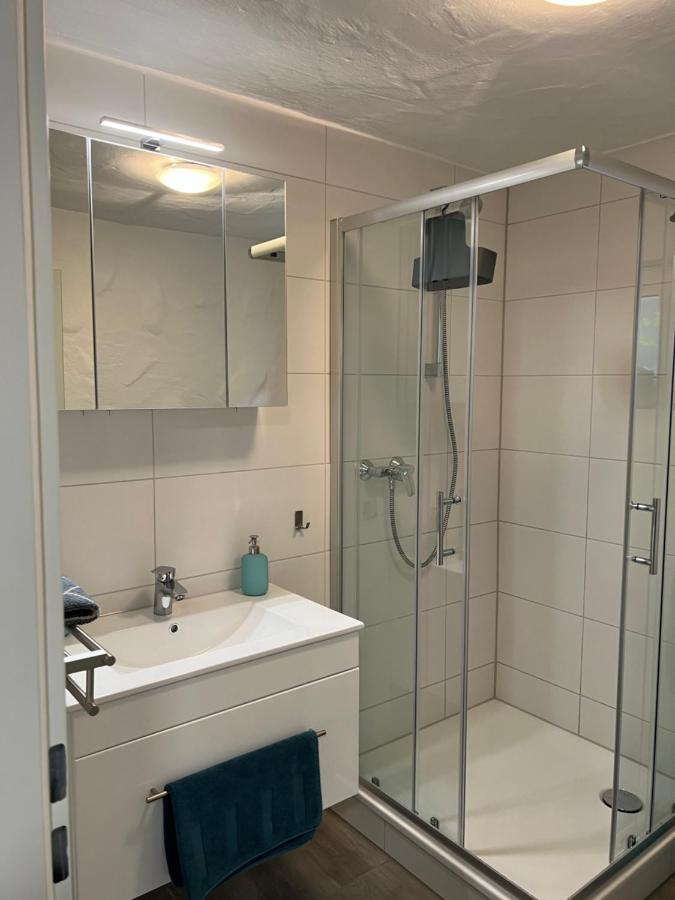 Gemuetliches Appartement In Lohmar-Wahlscheid エクステリア 写真